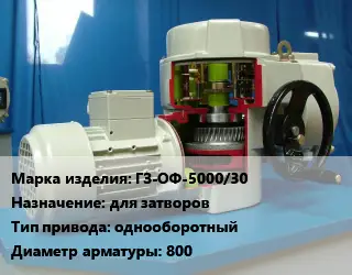 Электропривод ГЗ-ОФ-5000/30 для затворов однооборотный 800